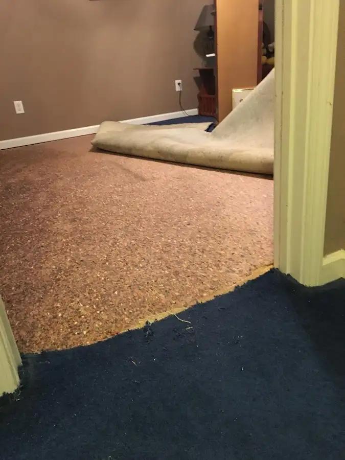 Carpet pad removal revealing water damage during Water Mitigation Services in Paragould