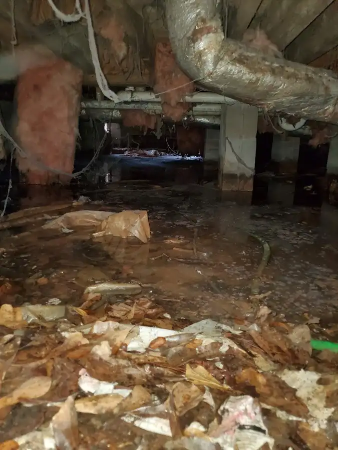 Crawl space flood assessment for Leak Detection & Repair in Paragould