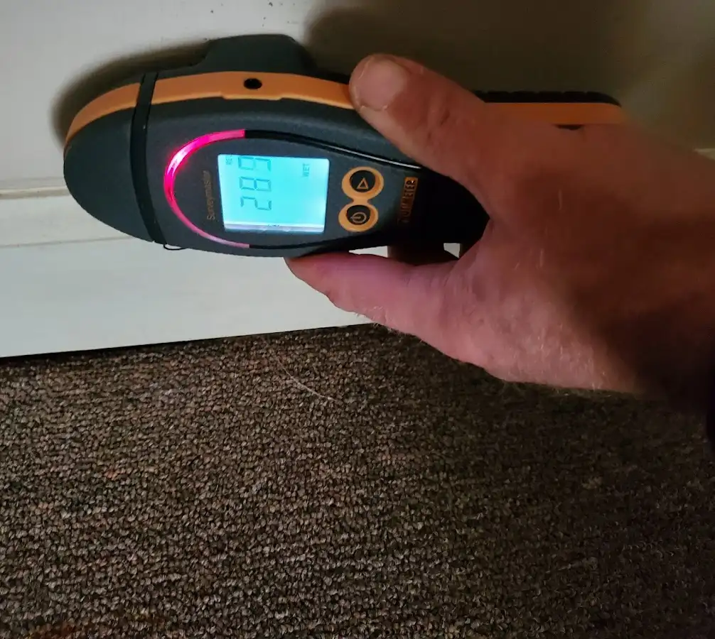 Moisture detection at baseboard during Mold Inspection & Testing in Paragould